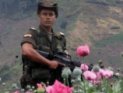 Семеро колумбийских полицейских погибли в бою с боевиками из РВСК