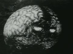 "Фотография стресса" с сайта scienceblog.com "Фотография стресса" с сайта scienceblog.com