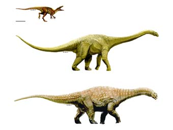     .  T. Tischler, Australian Age of Dinosaurs Museum of Natural History