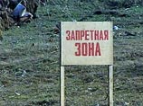  ,            2-4 .    24 , 8 