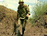          ,   ,   