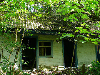  .   Suhrida   wikipedia.org