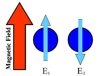      .    physics.sfsu.edu