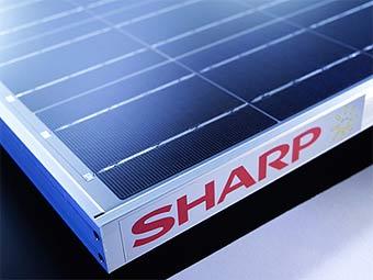   Sharp.    greenpacks.org