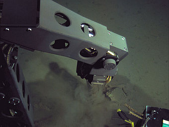  Nereus    .    