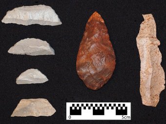    - "" .    Kyle Brown/South African Coast Paleoclimate, Paleoenvironment, Paleoecology, Paleoanthropology Project