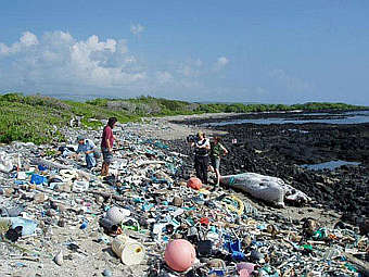    .  Algalita Marine Research Foundation