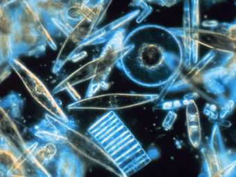   -     .  NOAA