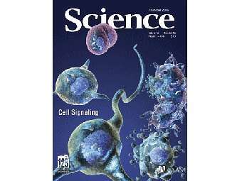   Science -      