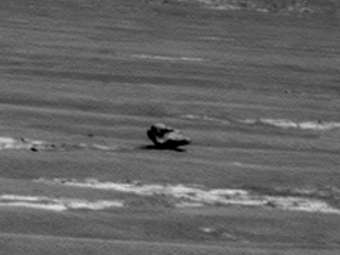  "" .  NASA/JPL-Caltech/Cornell University 